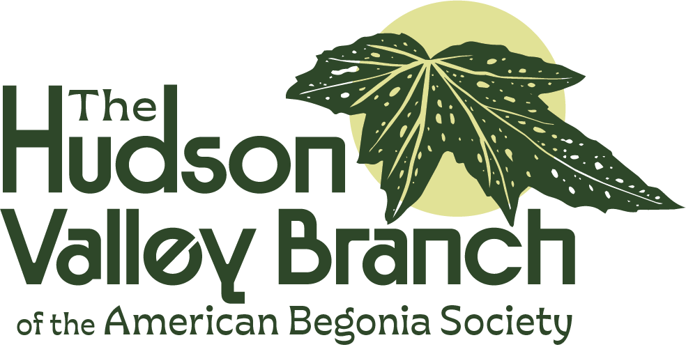 Hudson Valley Branch of the American Begonia Society